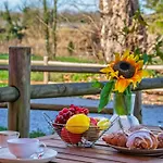 Hostly Arno Riverside Residence-10min From Tower * Pisa
