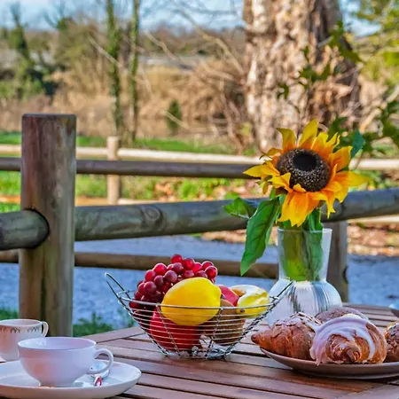 Hostly Arno Riverside Residence-10min From Tower * Пиза